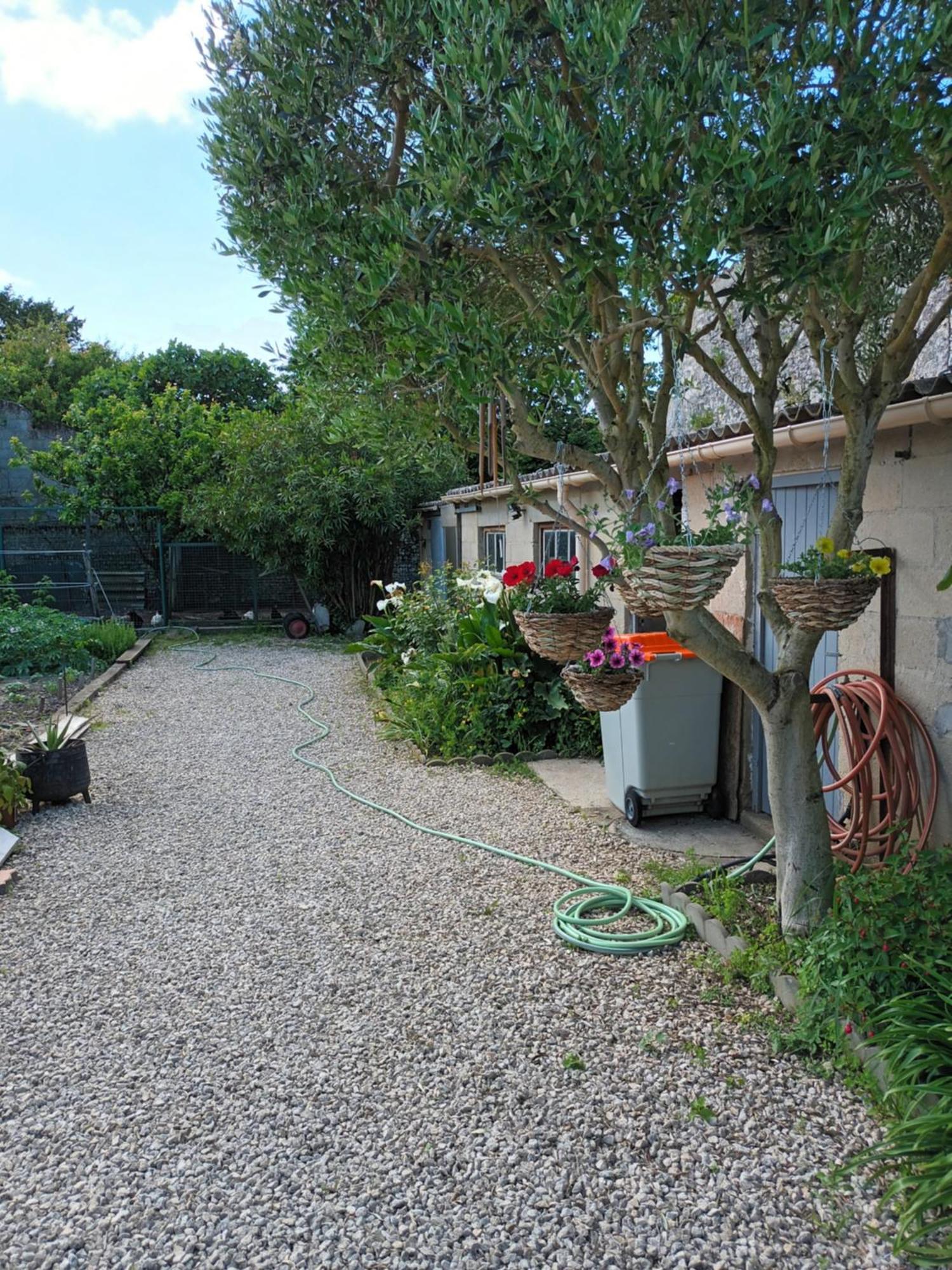 Forestier Marennes  Bagian luar foto